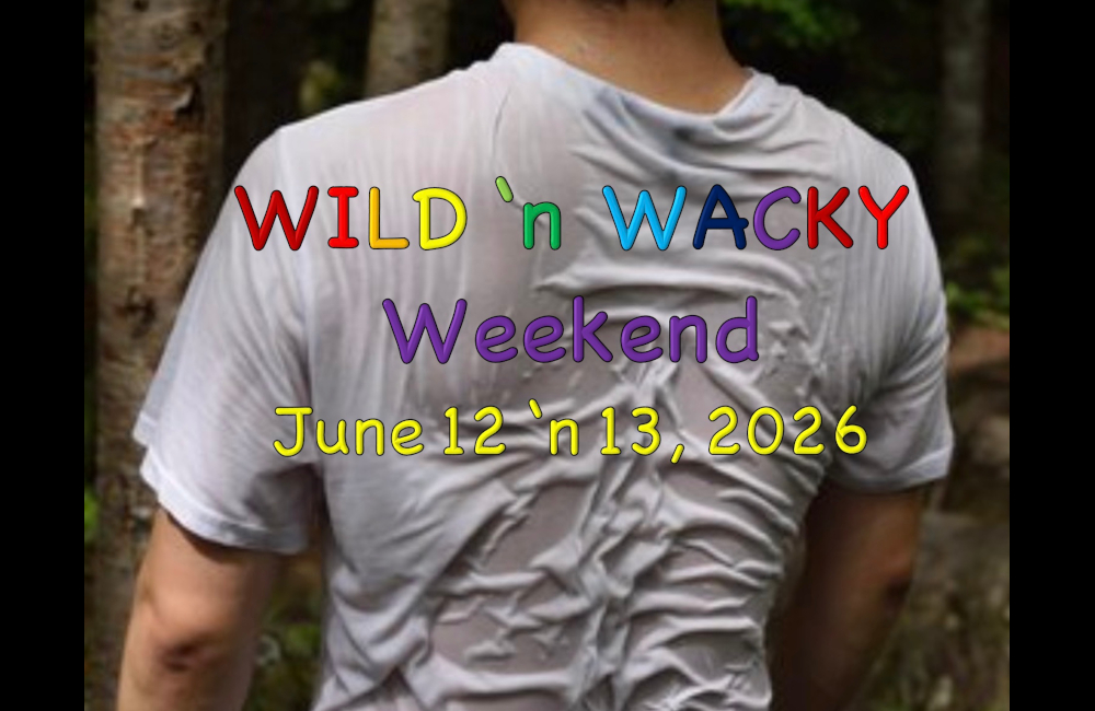 Wild 'n Wacky Preview